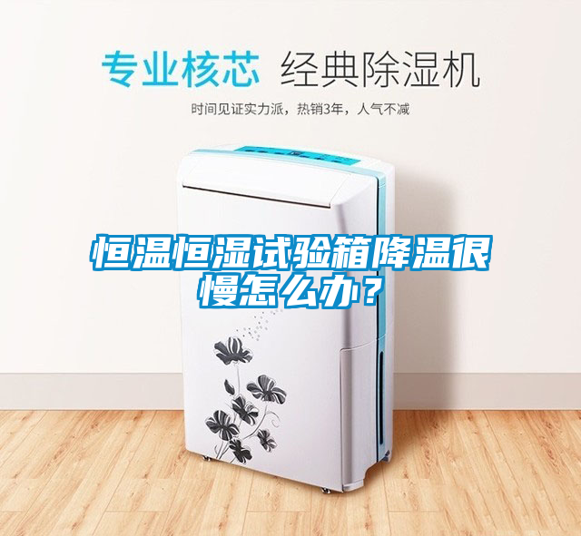 恒溫恒濕試驗(yàn)箱降溫很慢怎么辦？