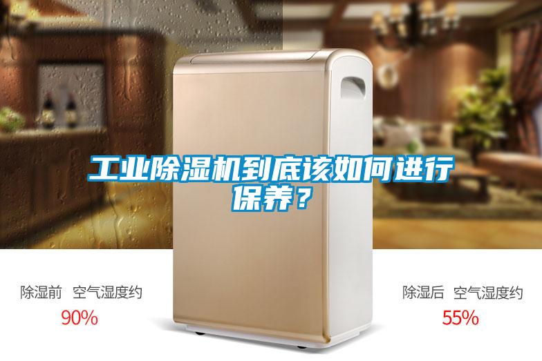 工業(yè)除濕機到底該如何進行保養(yǎng)？