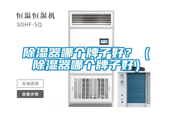 除濕器哪個(gè)牌子好？（除濕器哪個(gè)牌子好）