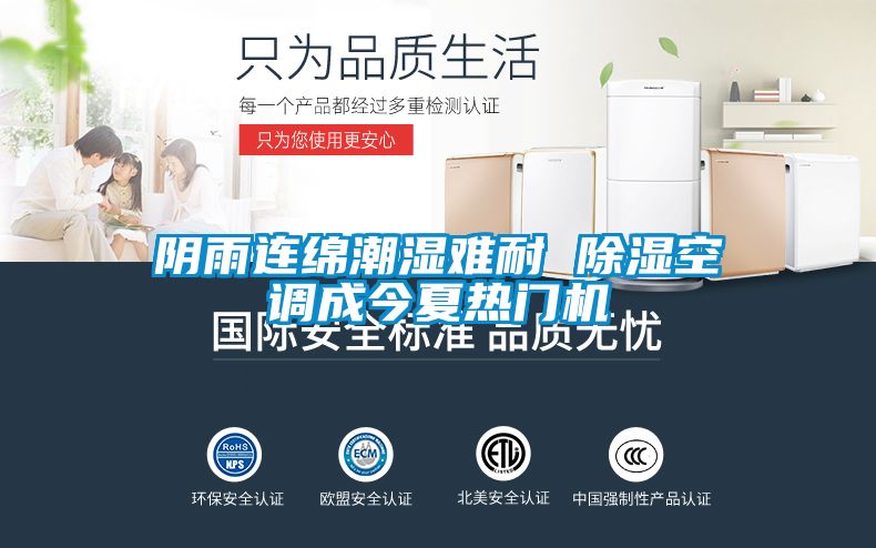 陰雨連綿潮濕難耐 除濕空調(diào)成今夏熱門(mén)機(jī)