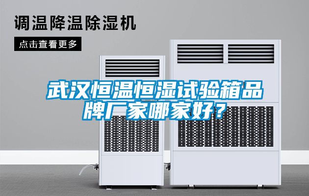 武漢恒溫恒濕試驗(yàn)箱品牌廠家哪家好？