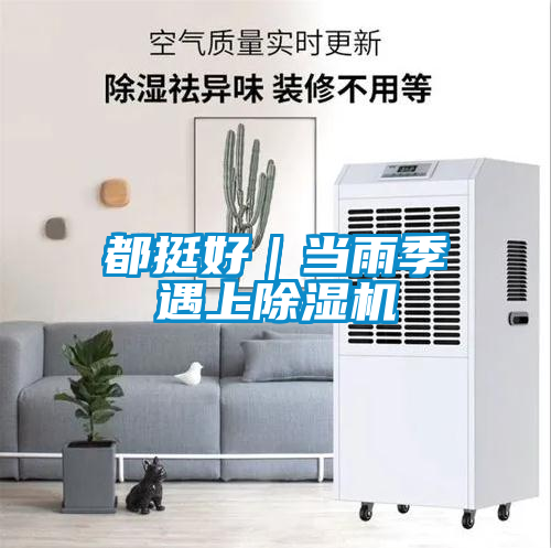 都挺好｜當(dāng)雨季遇上除濕機(jī)