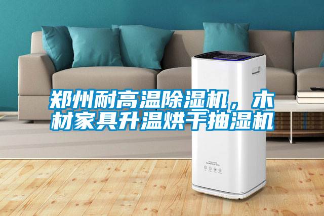 鄭州耐高溫除濕機(jī)，木材家具升溫烘干抽濕機(jī)