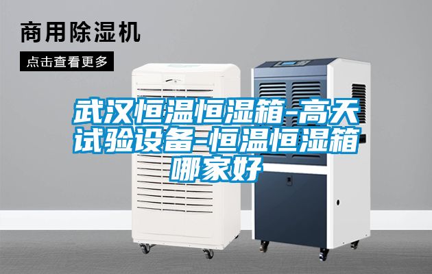 武漢恒溫恒濕箱-高天試驗設(shè)備-恒溫恒濕箱哪家好