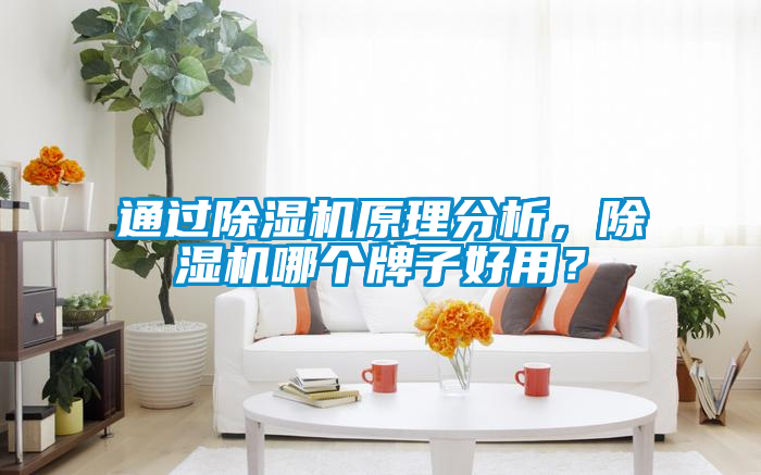 通過除濕機原理分析，除濕機哪個牌子好用？
