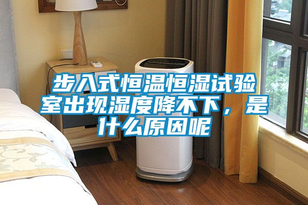 步入式恒溫恒濕試驗(yàn)室出現(xiàn)濕度降不下，是什么原因呢