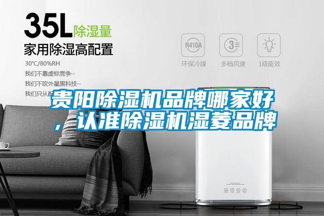 貴陽(yáng)除濕機(jī)品牌哪家好，認(rèn)準(zhǔn)除濕機(jī)濕菱品牌