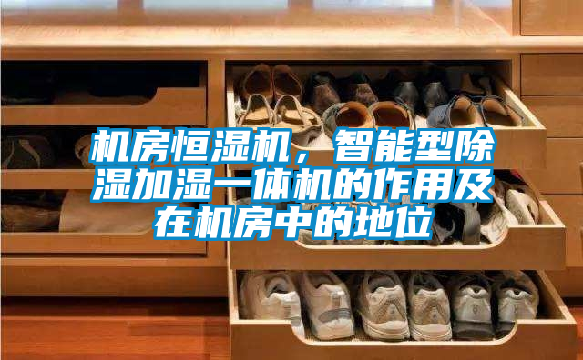 機房恒濕機，智能型除濕加濕一體機的作用及在機房中的地位
