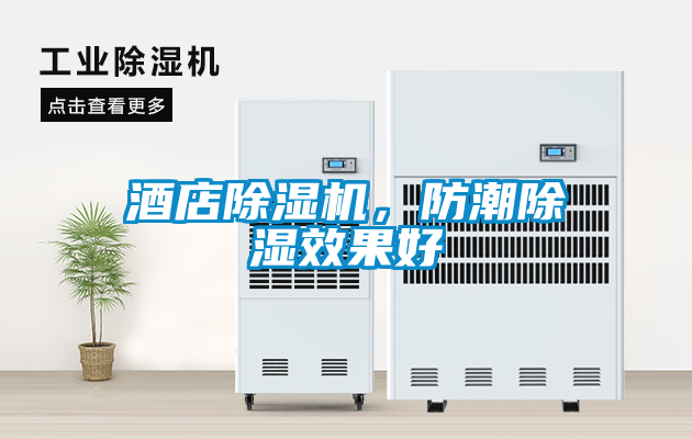 酒店除濕機(jī)，防潮除濕效果好