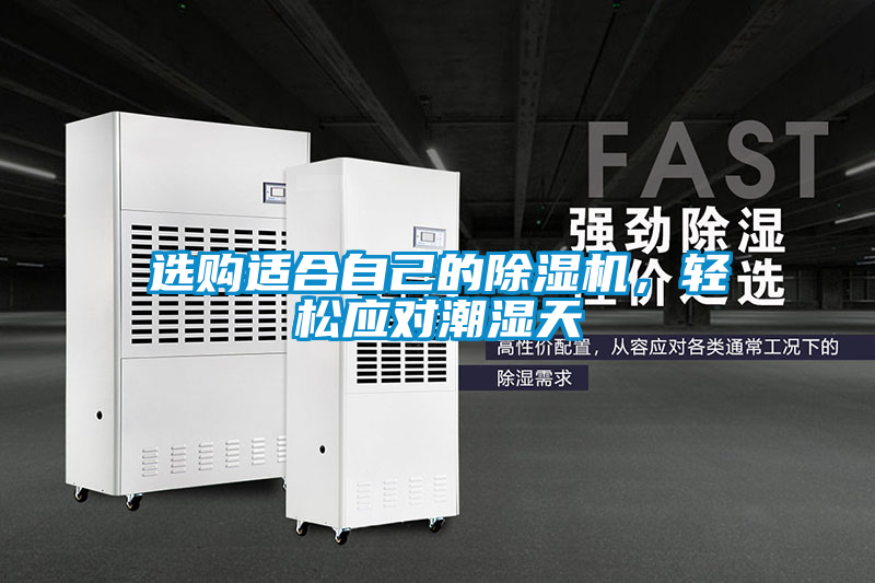選購適合自己的除濕機，輕松應對潮濕天