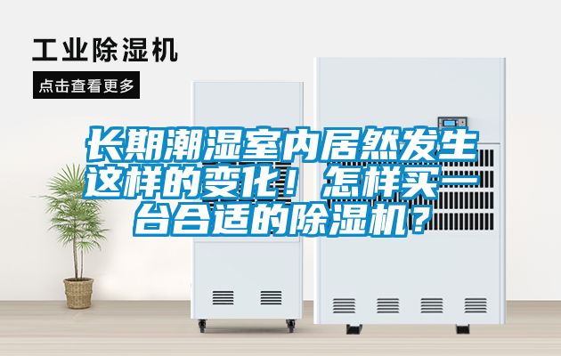 長(zhǎng)期潮濕室內(nèi)居然發(fā)生這樣的變化！怎樣買一臺(tái)合適的除濕機(jī)？