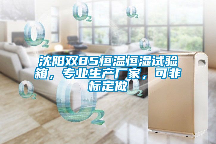 沈陽雙85恒溫恒濕試驗箱，專業(yè)生產廠家，可非標定做