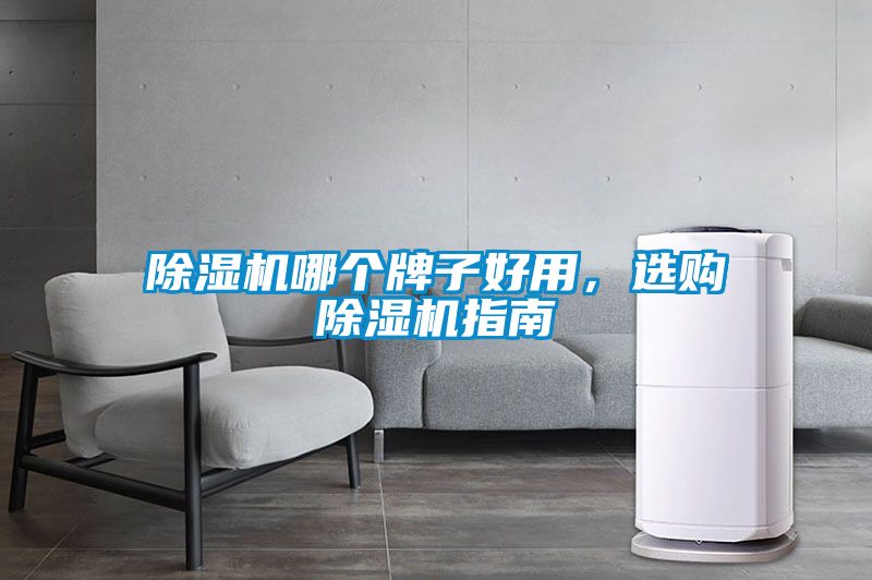 除濕機(jī)哪個(gè)牌子好用，選購(gòu)除濕機(jī)指南