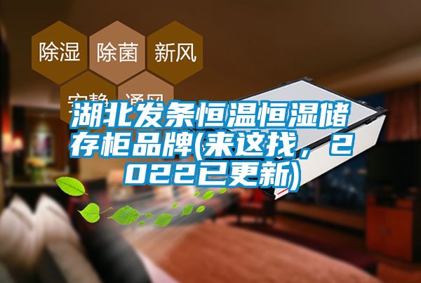 湖北發(fā)條恒溫恒濕儲存柜品牌(來這找，2022已更新)