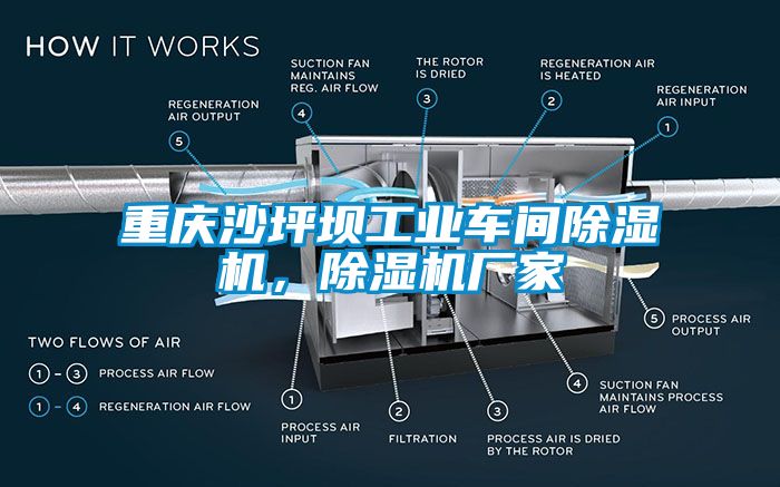重慶沙坪壩工業(yè)車間除濕機(jī)，除濕機(jī)廠家