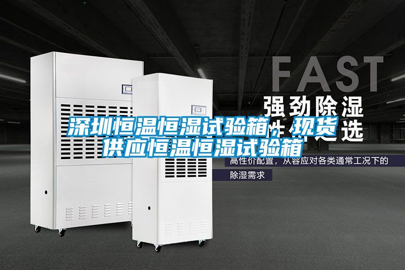 深圳恒溫恒濕試驗箱，現貨供應恒溫恒濕試驗箱