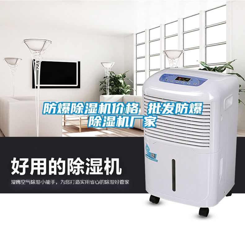 防爆除濕機(jī)價(jià)格 批發(fā)防爆除濕機(jī)廠家