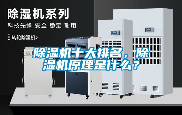 除濕機(jī)十大排名，除濕機(jī)原理是什么？