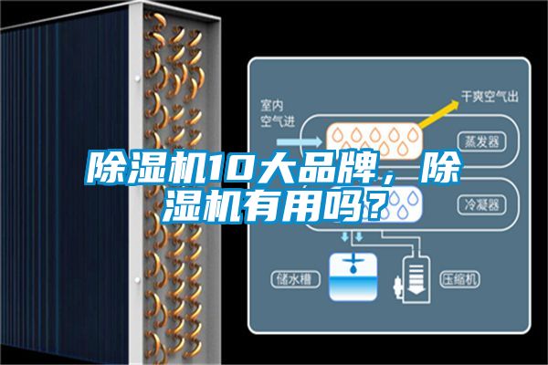 除濕機(jī)10大品牌，除濕機(jī)有用嗎？