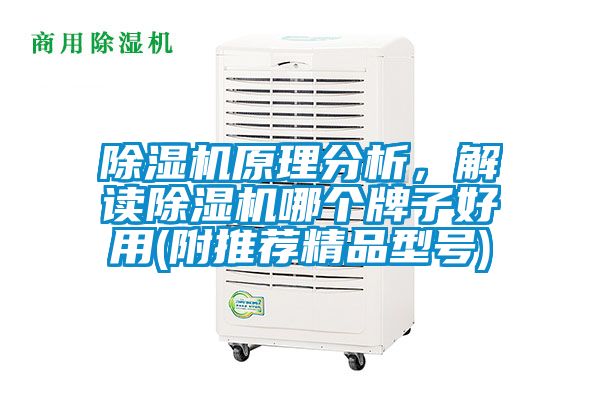 除濕機(jī)原理分析，解讀除濕機(jī)哪個(gè)牌子好用(附推薦精品型號)
