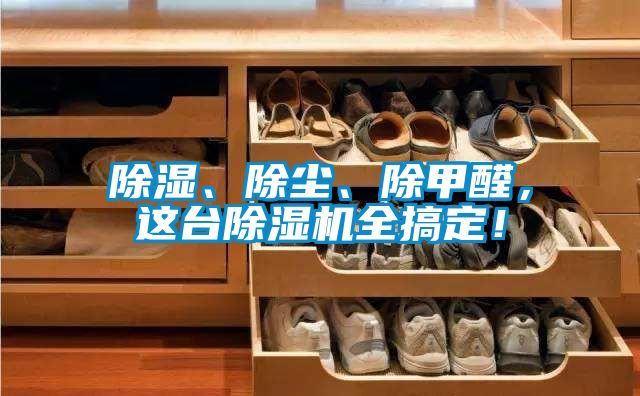 除濕、除塵、除甲醛，這臺除濕機全搞定！