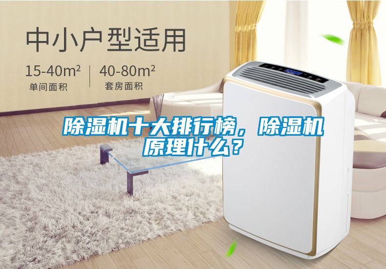 除濕機十大排行榜，除濕機原理什么？