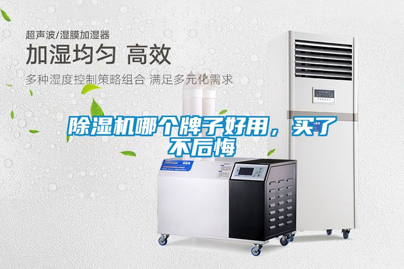 除濕機(jī)哪個牌子好用，買了不后悔