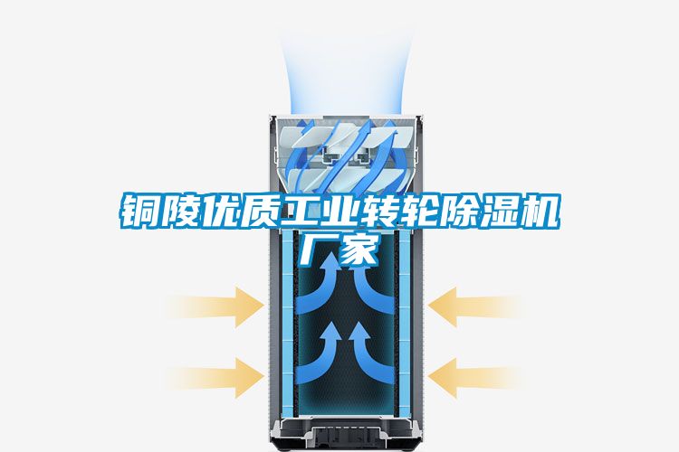 銅陵優(yōu)質(zhì)工業(yè)轉輪除濕機廠家