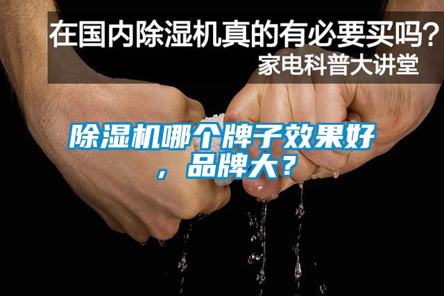 除濕機(jī)哪個(gè)牌子效果好，品牌大？