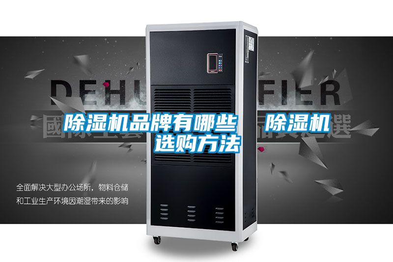 除濕機(jī)品牌有哪些  除濕機(jī)選購方法