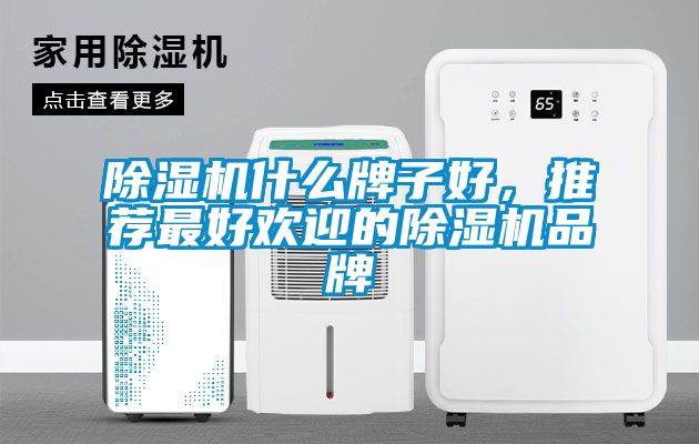 除濕機(jī)什么牌子好，推薦最好歡迎的除濕機(jī)品牌