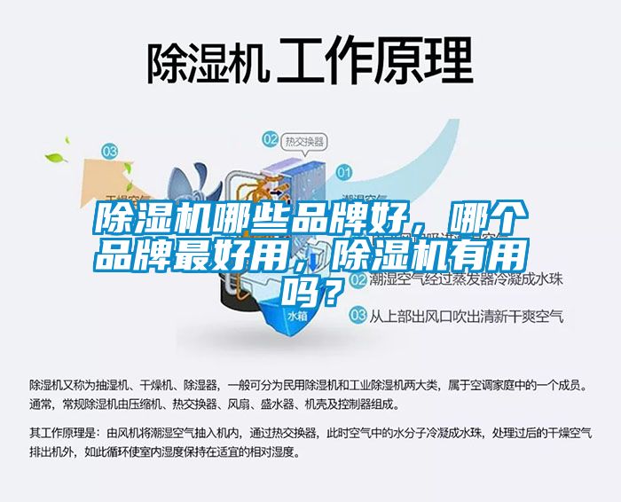 除濕機(jī)哪些品牌好，哪個(gè)品牌最好用，除濕機(jī)有用嗎？