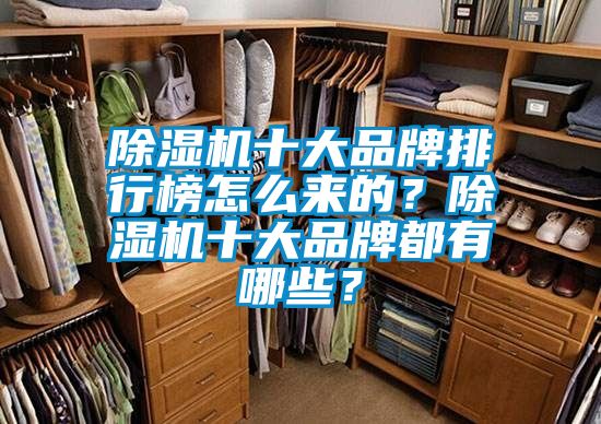 除濕機十大品牌排行榜怎么來的？除濕機十大品牌都有哪些？