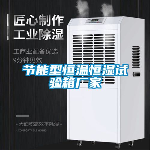 節(jié)能型恒溫恒濕試驗(yàn)箱廠家