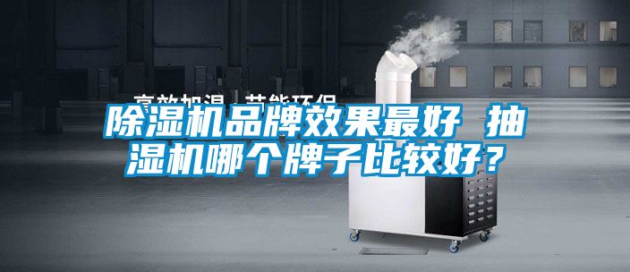 除濕機(jī)品牌效果最好 抽濕機(jī)哪個(gè)牌子比較好？
