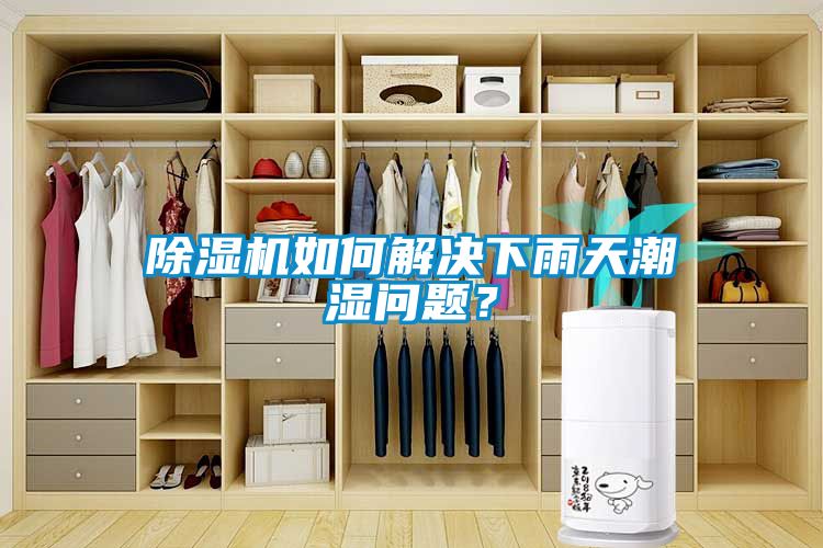 除濕機(jī)如何解決下雨天潮濕問(wèn)題？