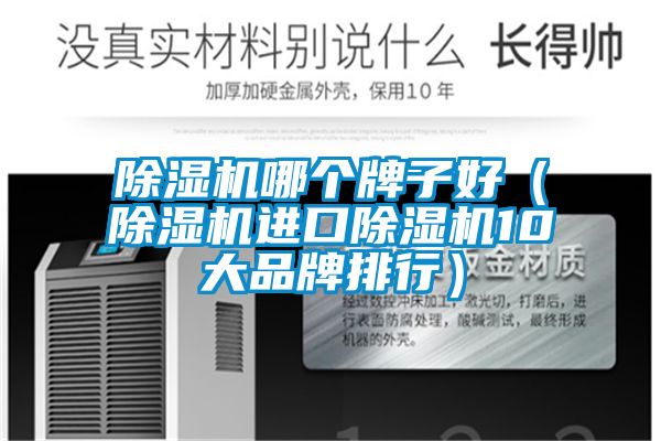 除濕機(jī)哪個牌子好（除濕機(jī)進(jìn)口除濕機(jī)10大品牌排行）