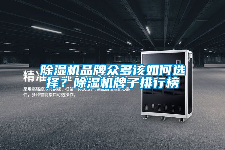 除濕機品牌眾多該如何選擇？除濕機牌子排行榜
