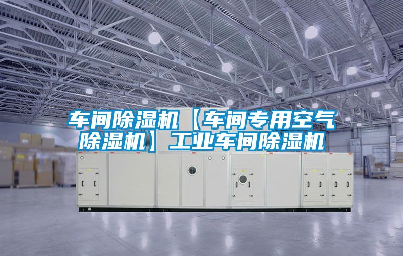 車(chē)間除濕機(jī)【車(chē)間專(zhuān)用空氣除濕機(jī)】工業(yè)車(chē)間除濕機(jī)