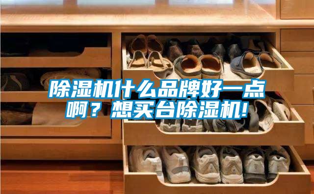 除濕機(jī)什么品牌好一點(diǎn)??？想買臺除濕機(jī)!