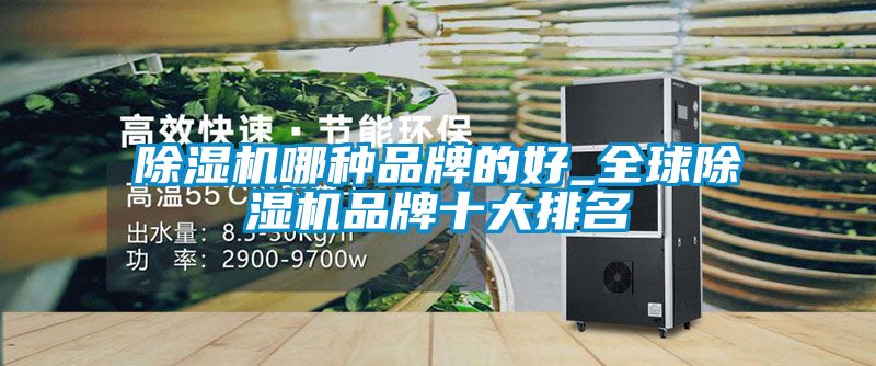 除濕機(jī)哪種品牌的好_全球除濕機(jī)品牌十大排名