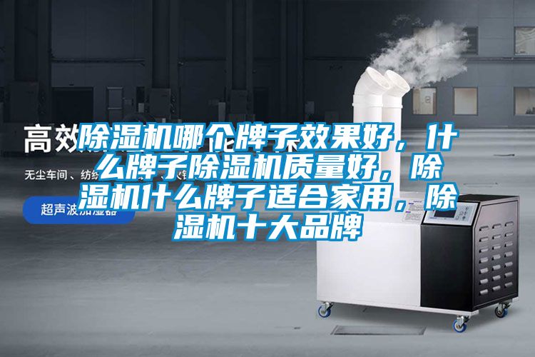 除濕機(jī)哪個(gè)牌子效果好，什么牌子除濕機(jī)質(zhì)量好，除濕機(jī)什么牌子適合家用，除濕機(jī)十大品牌