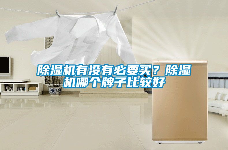 除濕機(jī)有沒有必要買？除濕機(jī)哪個牌子比較好