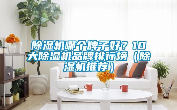 除濕機(jī)哪個牌子好？10大除濕機(jī)品牌排行榜（除濕機(jī)推薦）