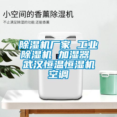 除濕機廠家 工業(yè)除濕機 加濕器 武漢恒溫恒濕機空調(diào)