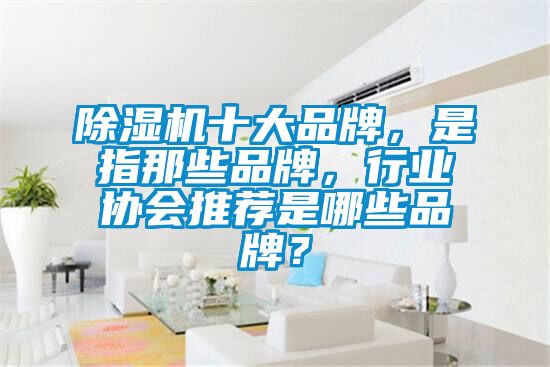 除濕機(jī)十大品牌，是指那些品牌，行業(yè)協(xié)會(huì)推薦是哪些品牌？