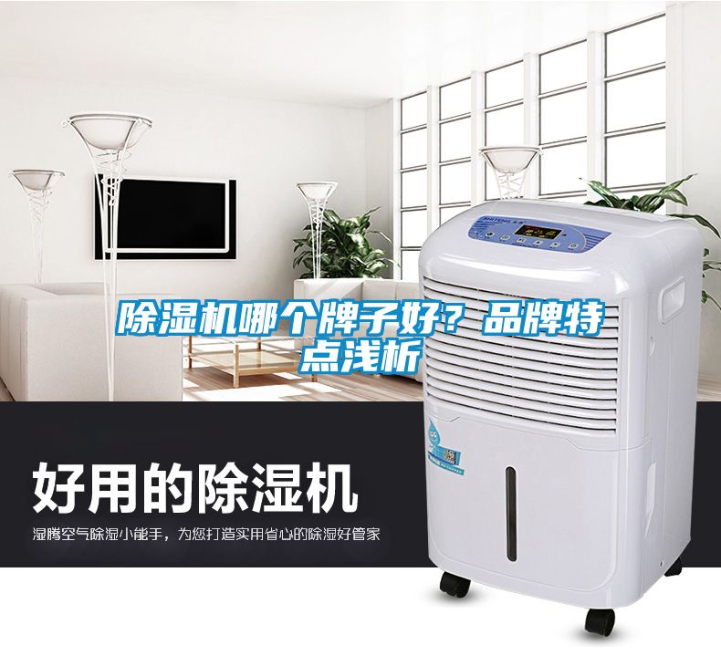 除濕機(jī)哪個牌子好？品牌特點(diǎn)淺析