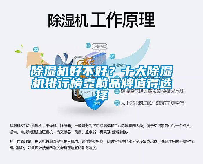 除濕機好不好？十大除濕機排行榜靠前品牌值得選擇