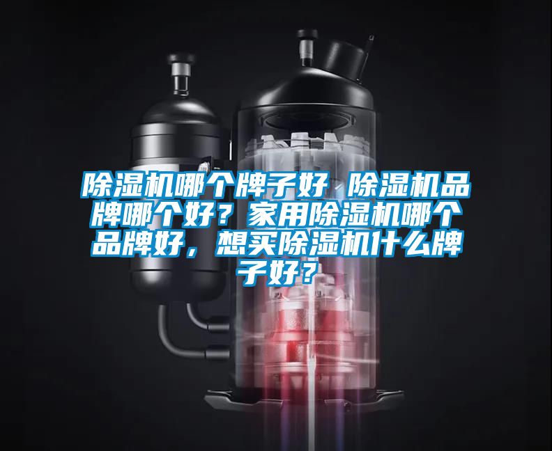 除濕機(jī)哪個(gè)牌子好 除濕機(jī)品牌哪個(gè)好？家用除濕機(jī)哪個(gè)品牌好，想買(mǎi)除濕機(jī)什么牌子好？