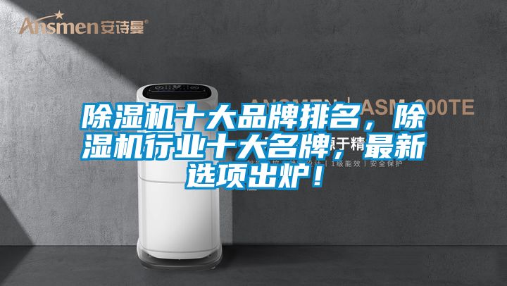 除濕機十大品牌排名，除濕機行業(yè)十大名牌，最新選項出爐！